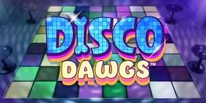 Disco Dawgs by Light & Wonder